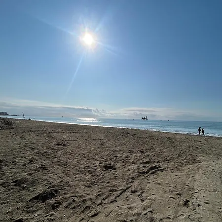 Goodvibes By World Savona